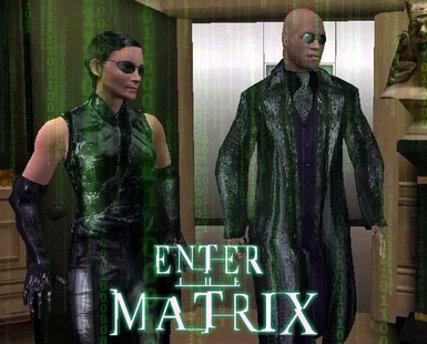 Enter The Matrix - Morpheus and Trinity Mod