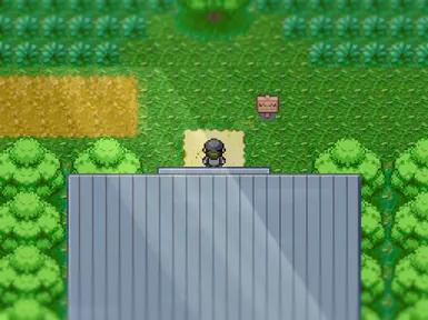 Route 11 - Pokémon Vortex Wiki