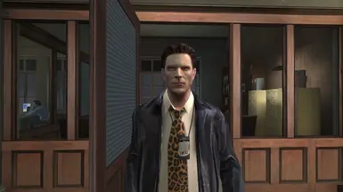 Alternative Coat 