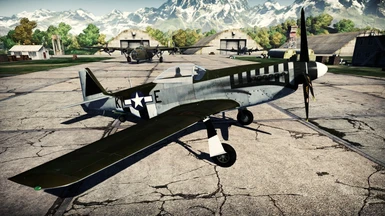 P-51D 20th FG
