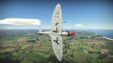Underside Shot Spitfire Mk IX