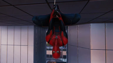 Black Spider on default velocity suit