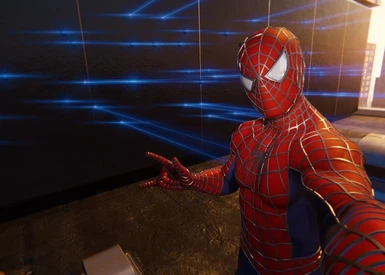 Infinite Webs and Web Gadgets