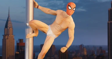 Money Undies Mod, Spider-Man Remastered Mods