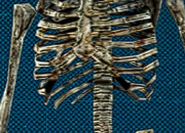 Skeleton-Man Icon