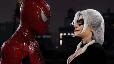 Black Cat from the 2004 Raimi Spider-Man 2 Game at Marvel’s Spider-Man ...