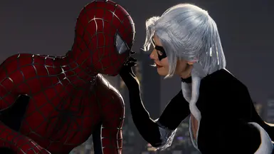 Black Cat from the 2004 Raimi Spider-Man 2 Game at Marvel’s Spider-Man ...