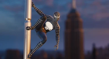 Punisher Spider-Man Suit
