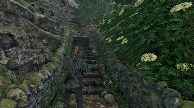 V1 On, 1080p, FSR off.