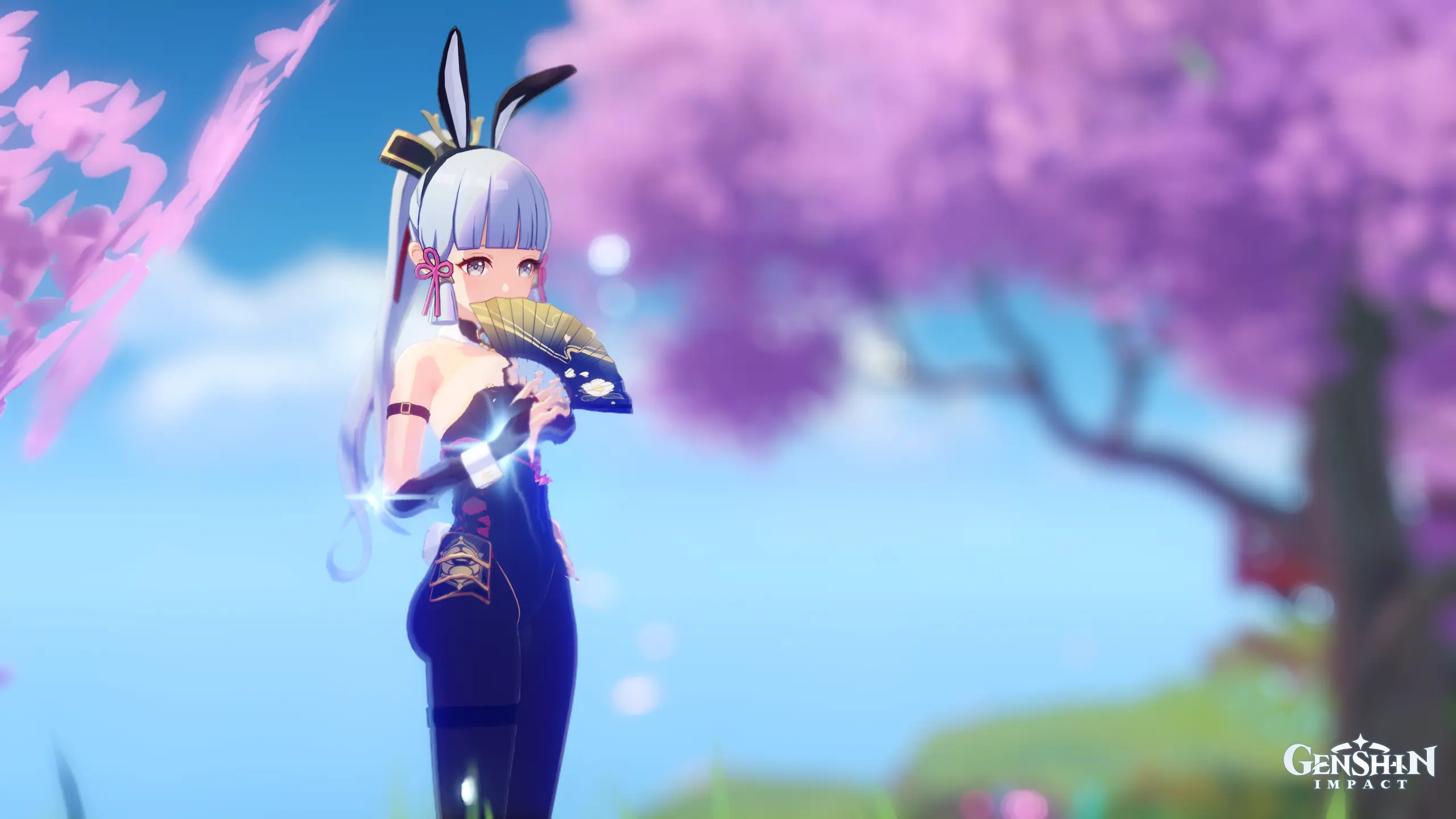 Bunny mod