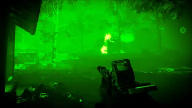 Night Vision works fine with HUD disabled