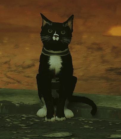 Stray' players are adding their cats to the game with mods - The Washington  Post