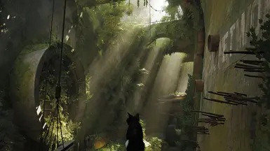 ClearPlayHDR