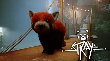 Red Panda (Request)