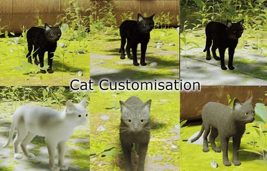 Cat Customisation