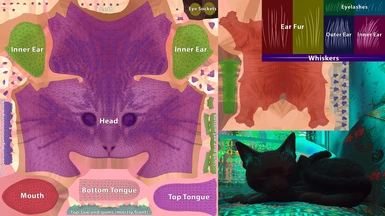 Realistic Black Cat and PSD Templates (Full UV Layouts)