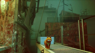 Stray recebe mod de Garfield; veja fotos do gato em ação