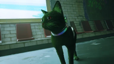 Green cat with red eyes (Request)