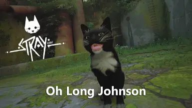 Cat Reacts To Oh Long Johnson Video 