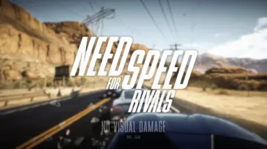 No Visual Damage