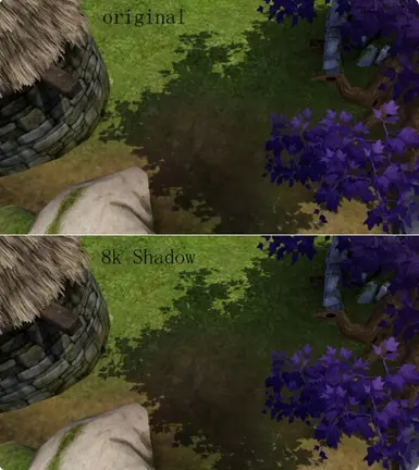 8k shadows