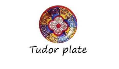 Tudor plate replacement