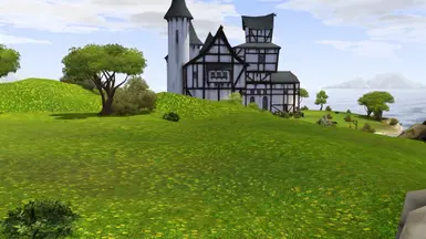 Summer flower meadow v2