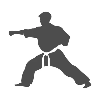 karate judgment