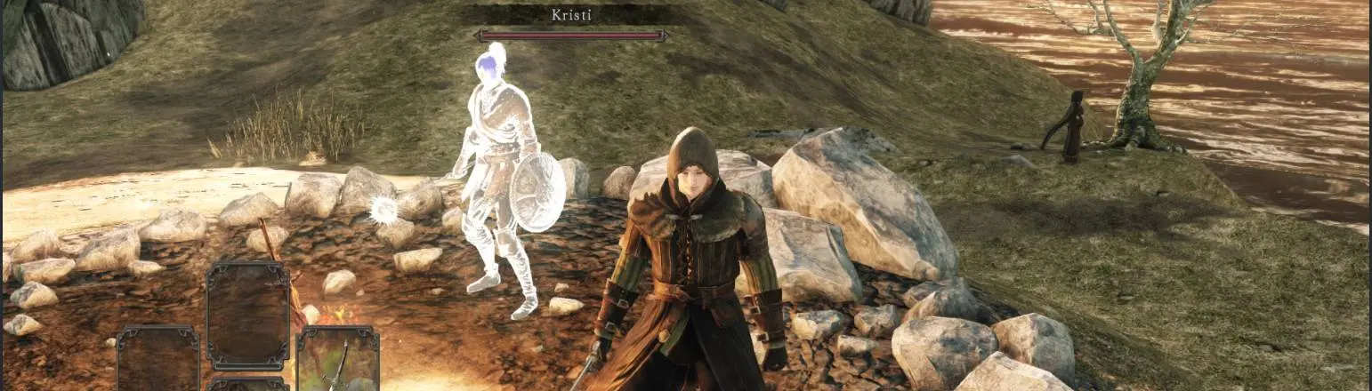 Dark Souls 2 Co-op overhaul at Dark Souls 2 Nexus - Mods and community