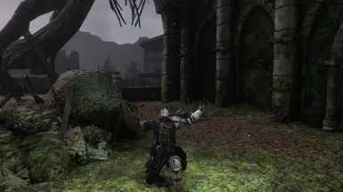 Dark Souls 2 Co-op overhaul at Dark Souls 2 Nexus - Mods and community