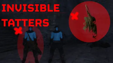 Invisible Prisoner Tatters