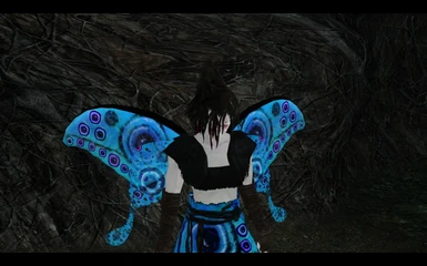 Velexia's Moonlight Butterfly Such Color. Much Pretty. Wow.