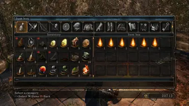 ingame
