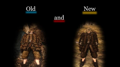 Gyrm Armor - Old And New 1