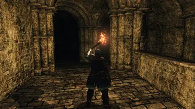 Dark Souls II: Scholar of the First Sin GAME MOD SainTShade - A