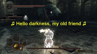 how to use nexus mod manager dark souls 2
