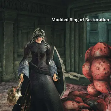 Subtle Ring Effects at Dark Souls 2 Nexus - Mods and community