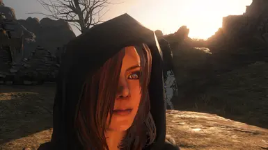 DS2LEngine Update pic 2
