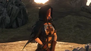DS2LEngine Update pic 1