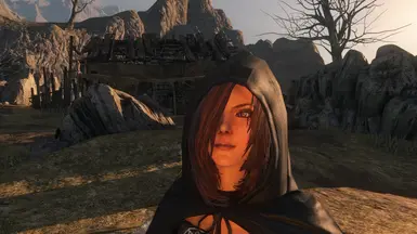 DS2LEngine Update pic 7