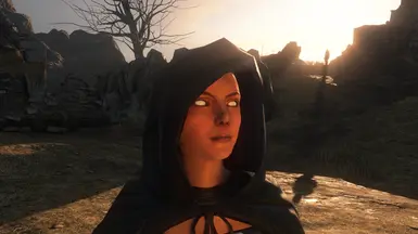 DS2LEngine OPTIONAL Bald Herald WITH Blind/White Eyes