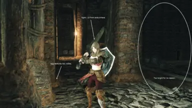 Dark Souls 2 Mod Dramatically Improves The Game's Lighting And