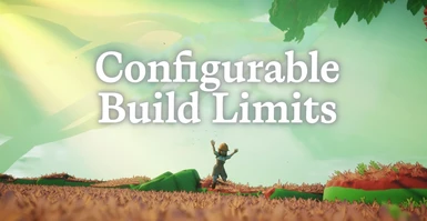 Configurable Build Limits