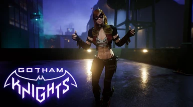 Injustice 1 Insurgency Harley Outfit