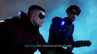 Arkham City Nightwing and New 52 Nightwing