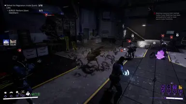 BG Momentum Combo