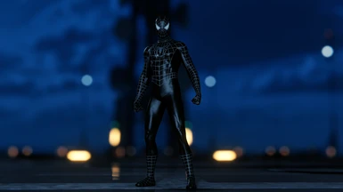 2007 Symbiote