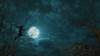 Moonlight - A New Night Sky
