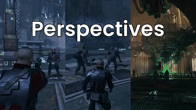 Perspectives Mod