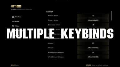 Multiple Keybinds